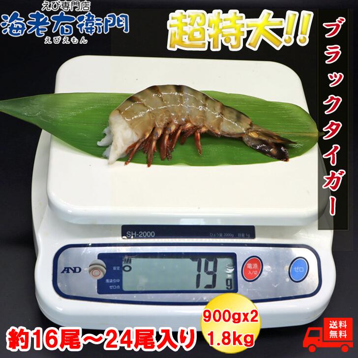 緊急入荷！超超超特大サイズ 4/6サイズ 約16尾〜24尾入りブラック