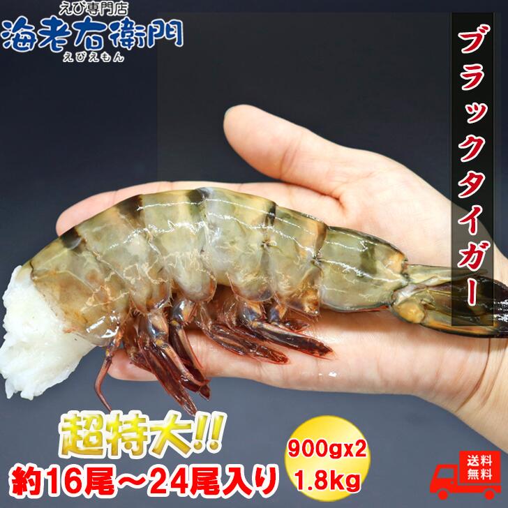 緊急入荷！超超超特大サイズ 4/6サイズ 約16尾〜24尾入りブラック
