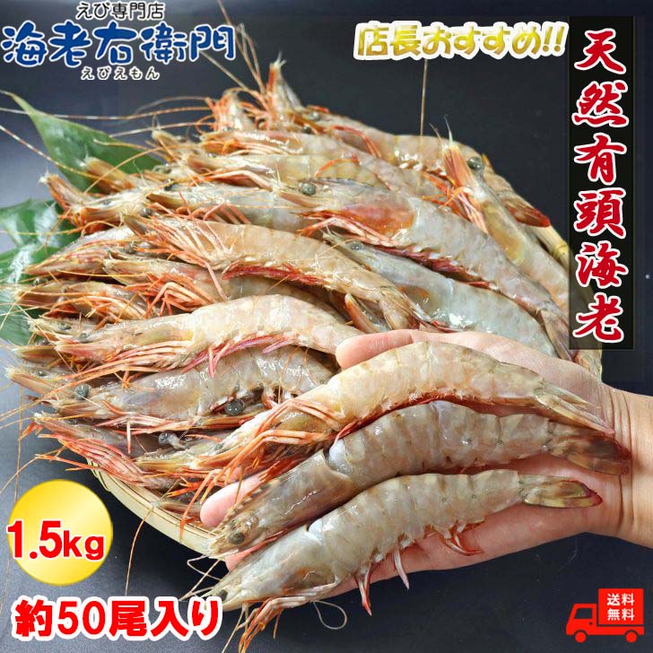 天然 有頭海老 1.5kg 50尾 長さ16cm！ 海老 フラワー エビ 有頭 冷凍 有頭エビ 特大 えび 冷凍えび 高級 海鮮 冷凍エビ 足赤エビ クマエビ 天然エビ 大海老 鉄板焼 バーベキュー 天ぷら えび天ぷら エビ天ぷら エビ天 塩焼き お取り寄せ 業務用食材 業務用冷凍食品 業務用
