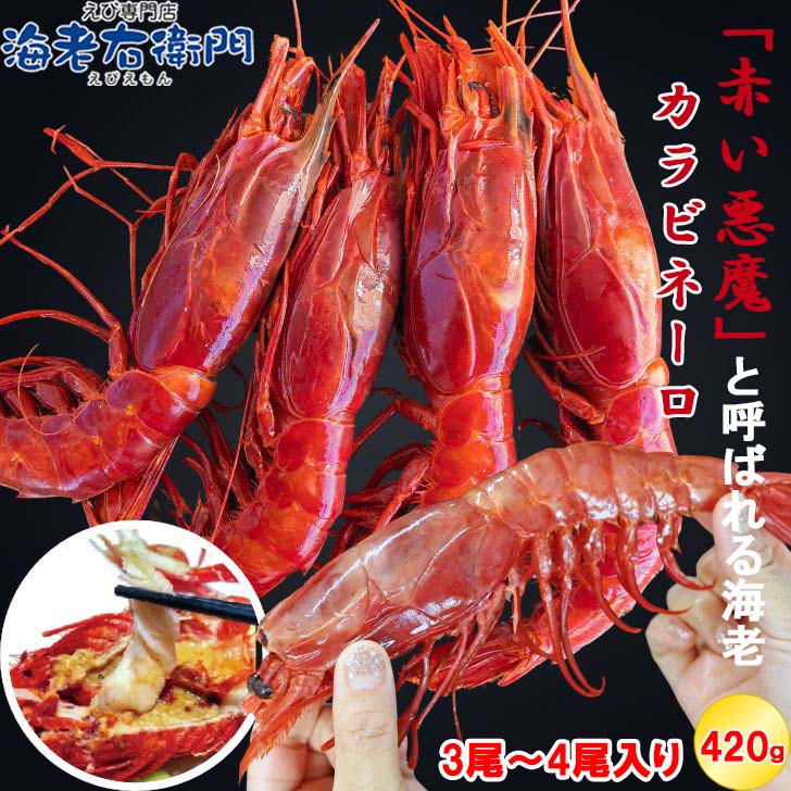 ”赤い悪魔”と呼ばれる海老 カラビネーロ 特大サイズ 3尾～4尾入り 420g ジャイアントスカーレットシュリンプ 紅魔海老 オオミツトゲチヒロエビ 巨大 船内凍結 有頭えび 海老 プリプリ バーベキュー ワインに！ ギフト えび 冷凍エビ エビ 業務用