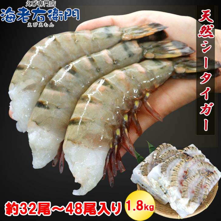 超特大 8/12サイズ 約32尾～48尾入り 天然 シータイガー 無頭えび 900g&times;2 1.8kg えび 特大 エビ 大エビ BBQ バーベキュー 海鮮焼き キャンプ お取り寄せ パーティー お中元 ギフト ジャンボ 大海老 エビフライ 塩焼き 無頭海老 天然海老 天ぷら 高級エビ まとめ買い 業務用｜えび専門店　海老右衛門 10,703円