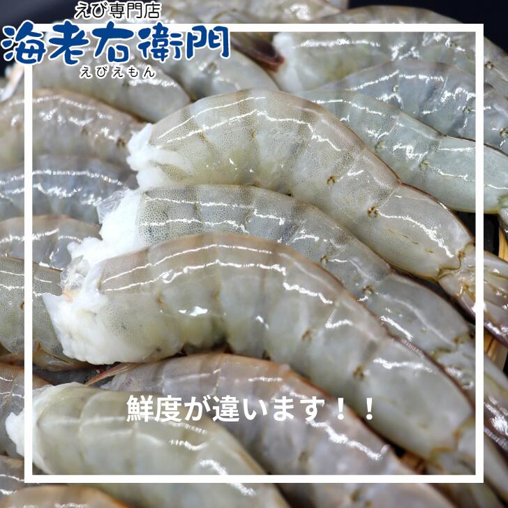 ☆新鮮！「奇跡の無頭バナメイ海老」お得パック！約1.8kg（約56