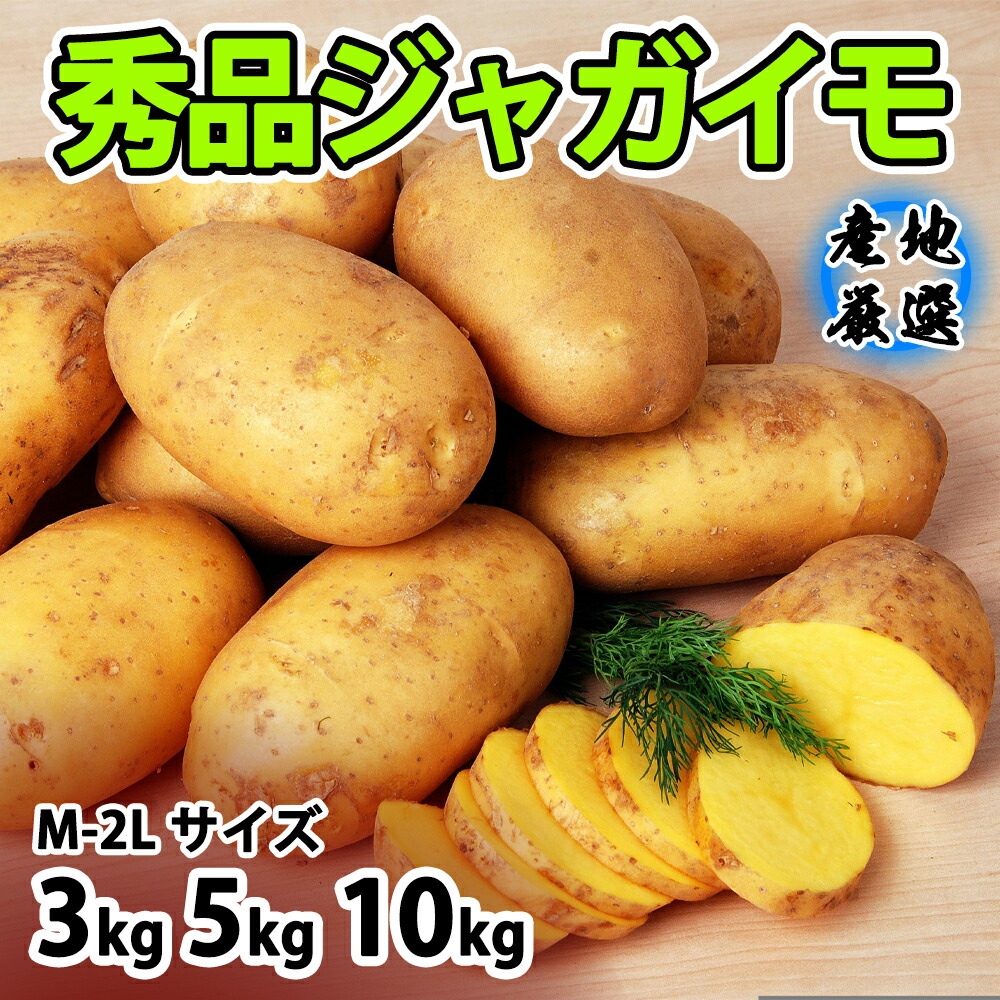 ⑤種芋 大（8㎏ )キタアカリ 5kg ダンシャク 3kg 収穫倍増 農家直送 農薬不使用 自慢のじゃがいも 約5kg | 野菜/じゃがいも 産直