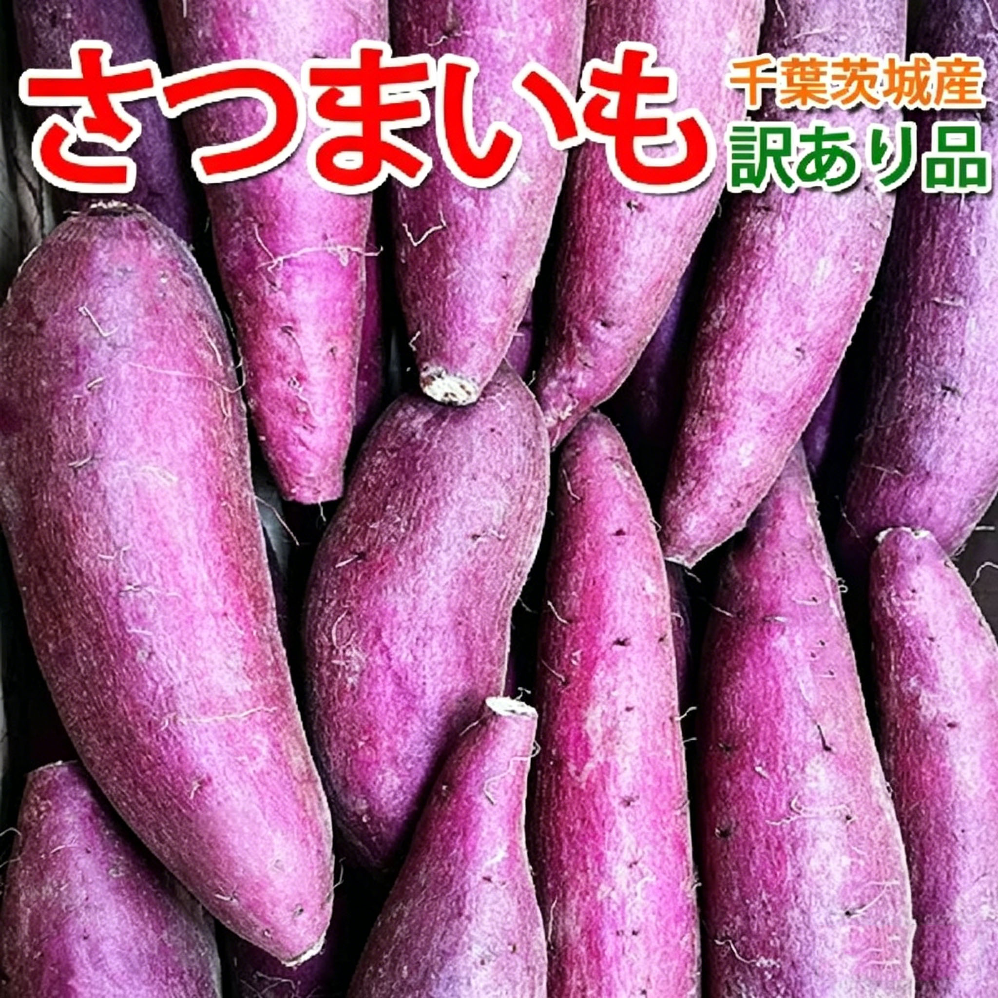 【最安値挑戦！楽天1位】さつまいも 2KG/3KG/5KG 訳あり品 紅はるか 紅東 栗かくや シルクスイート あまはづき サツマイモ 焼き芋に 千葉県・茨城県産地厳選 美味しい やきいもに 食物繊維 美容 スイーツ