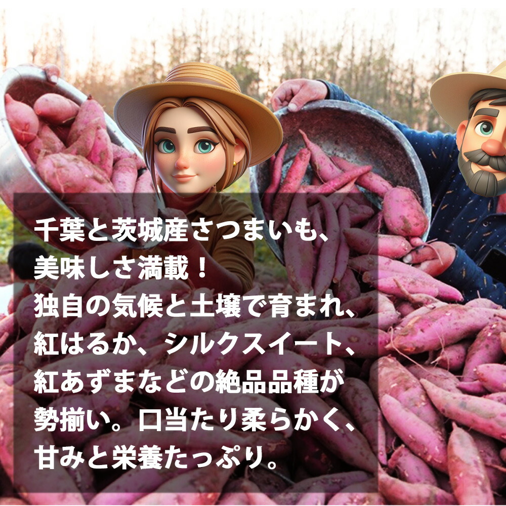 さつまいも 2KG/3KG/5KG 訳あり品 紅はるか 紅東 栗かぐや シルクスイート あまはづき サツマイモ 焼き芋に 千葉県・茨城県産地厳選 美味しい やきいもに 食物繊維 美容 スイーツ