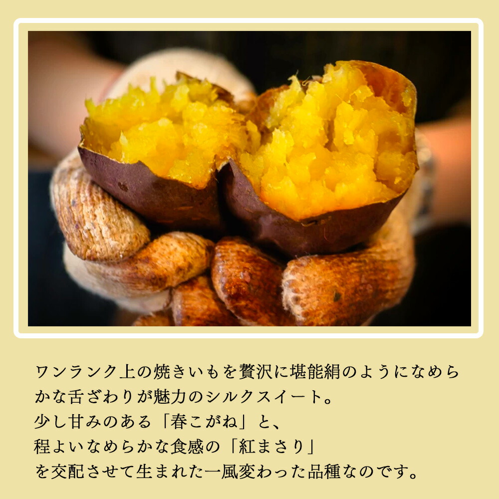 さつまいも 2KG/3KG/5KG 訳あり品 紅はるか 紅東 栗かぐや シルクスイート あまはづき サツマイモ 焼き芋に 千葉県・茨城県産地厳選 美味しい やきいもに 食物繊維 美容 スイーツ