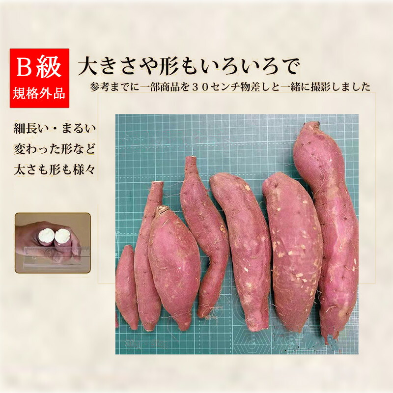 さつまいも 2KG/3KG/5KG 訳あり品 紅はるか 紅東 栗かぐや シルクスイート あまはづき サツマイモ 焼き芋に 千葉県・茨城県産地厳選 美味しい やきいもに 食物繊維 美容 スイーツ