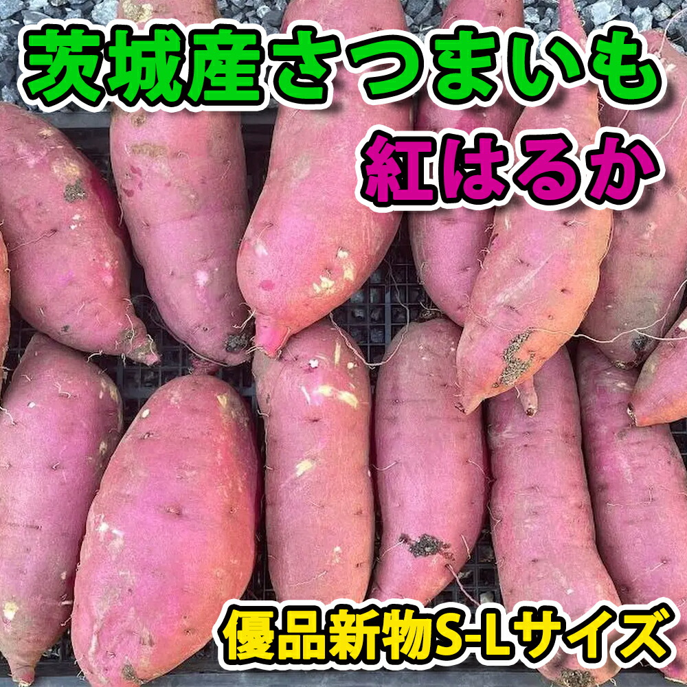 【大感謝祭10％OFF】【産地より直送】さつまいも 紅はるか 5kg 千葉茨城県産 大容量 甘い焼き芋などに サツマイモ　優品 |  えびねの多菜生活楽天市場店