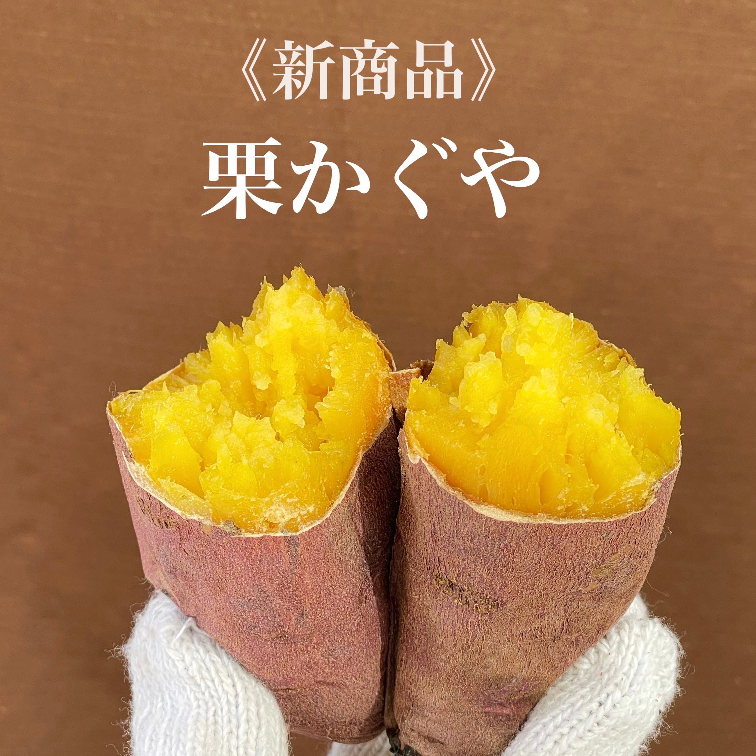 さつまいも 2KG/3KG/5KG 訳あり品 紅はるか 紅東 栗かぐや シルクスイート あまはづき サツマイモ 焼き芋に 千葉県・茨城県産地厳選 美味しい やきいもに 食物繊維 美容 スイーツ
