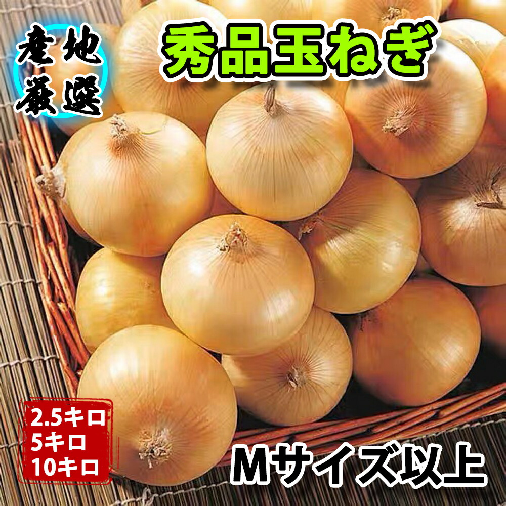 予約】日本一の玉ねぎ生産地！信田農園の玉ねぎ 10kg Lサイズ