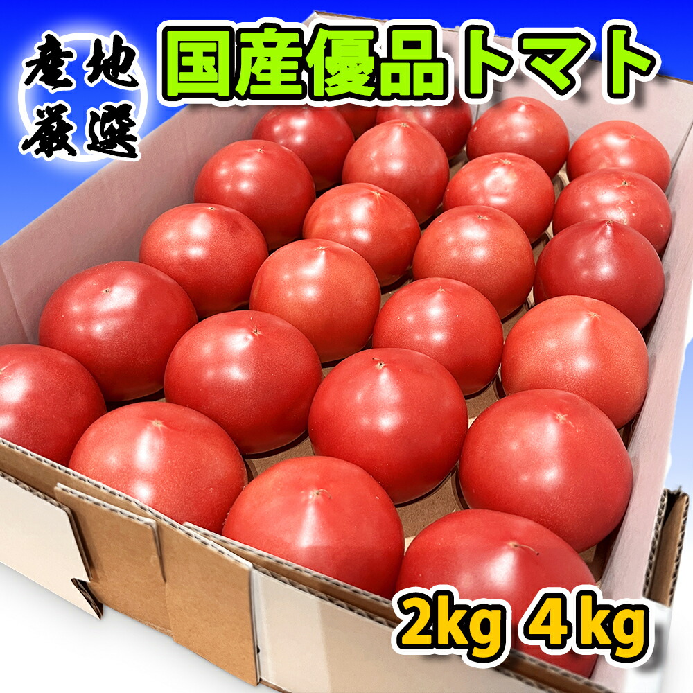 楽天市場】熊本県産 トマト 等級A・L〜2Lサイズ（16〜20玉入