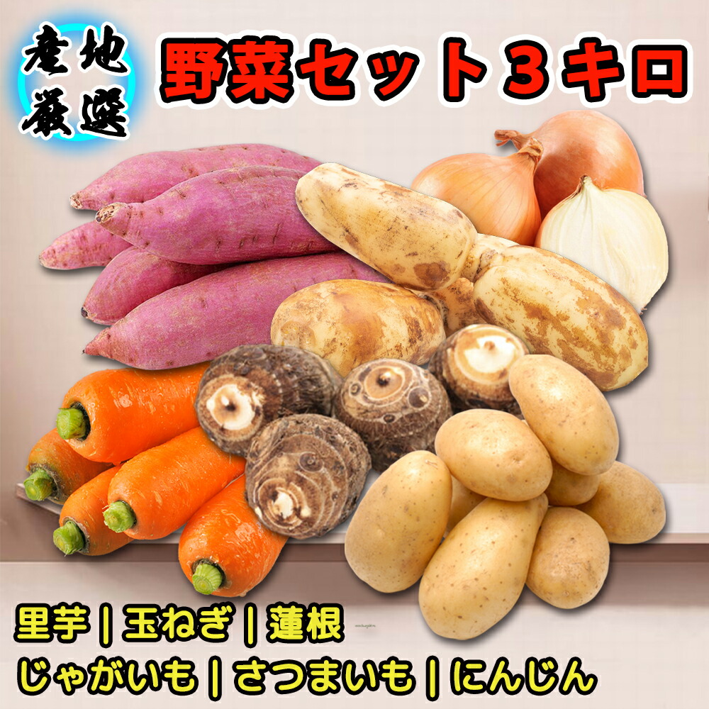 楽天市場】【旬の定番野菜】 野菜セット 約3キロ 季節の新鮮野菜 3品目