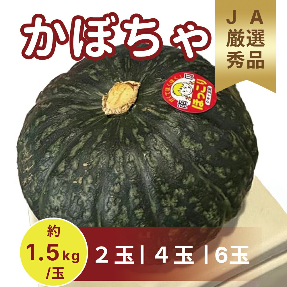 楽天市場】【2025年予約】 黒王かぼちゃ 2個 / (1個1.6〜2kg前後