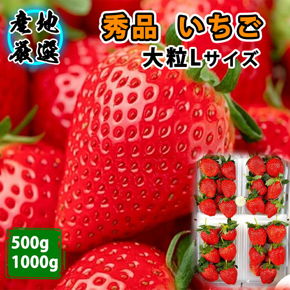 楽天市場】【産地直送翌日配達】いちご 秀品 厳選 とちおとめ スカイ