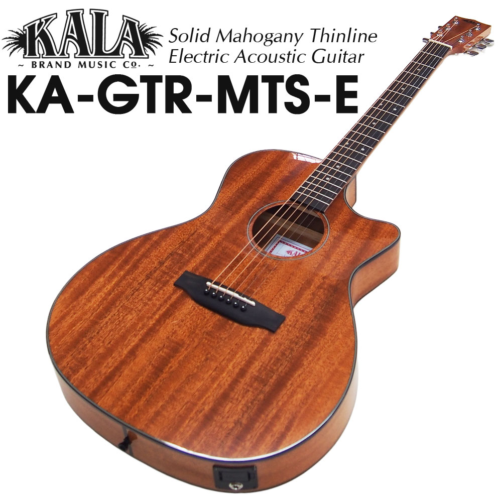 エレアコギター Taylor EG-214ce Urban Ash エレアコギター／島村楽器オリジナル