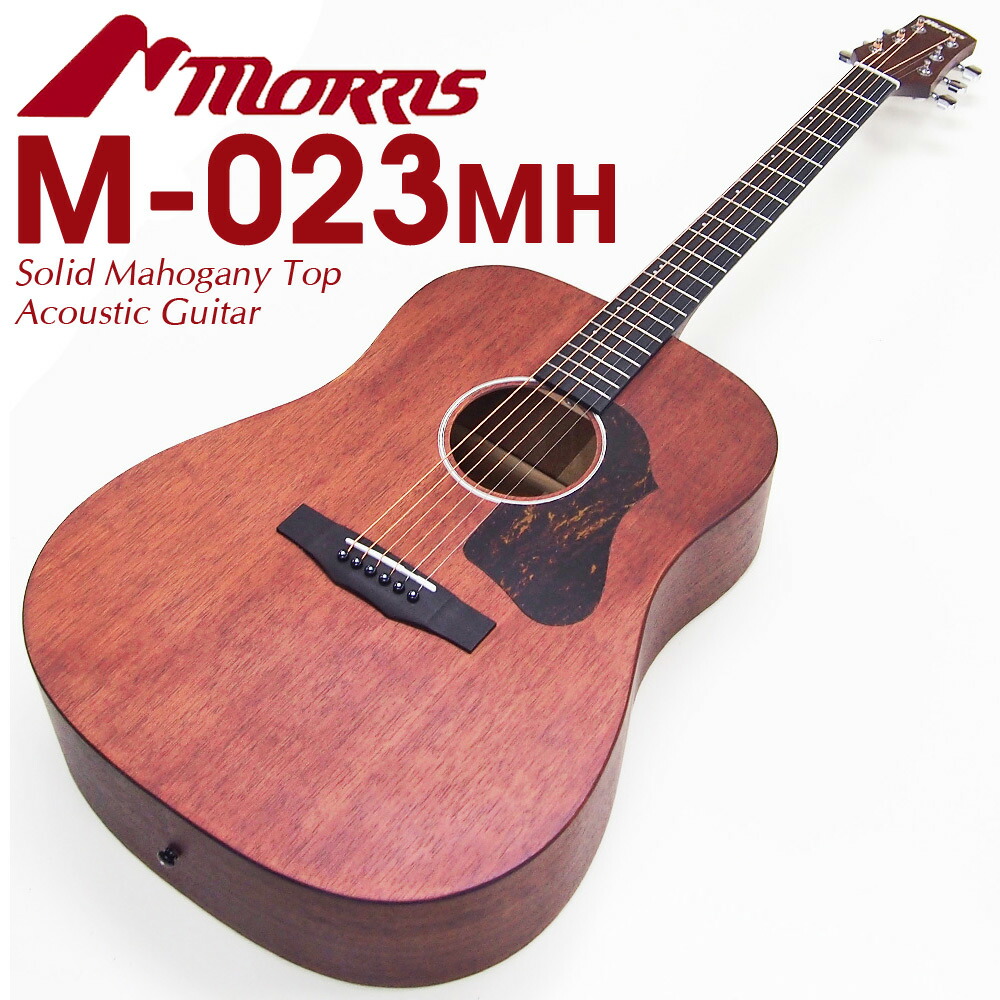 楽天市場】Morris モーリス アコースティックギター Y-023 MH アコギ