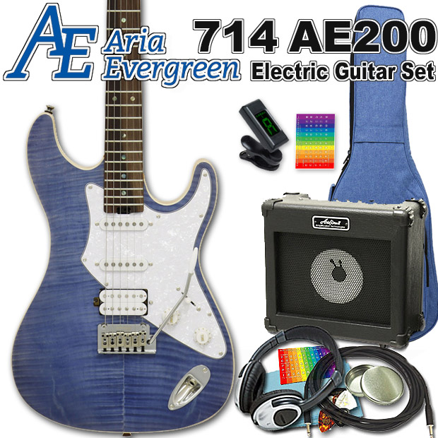 人気No.1】 AriaProII 714 AE200 LV アリア エヴァーグリーン エレキギター 初心者 15点 入門セット VOXアンプ付き  fucoa.cl