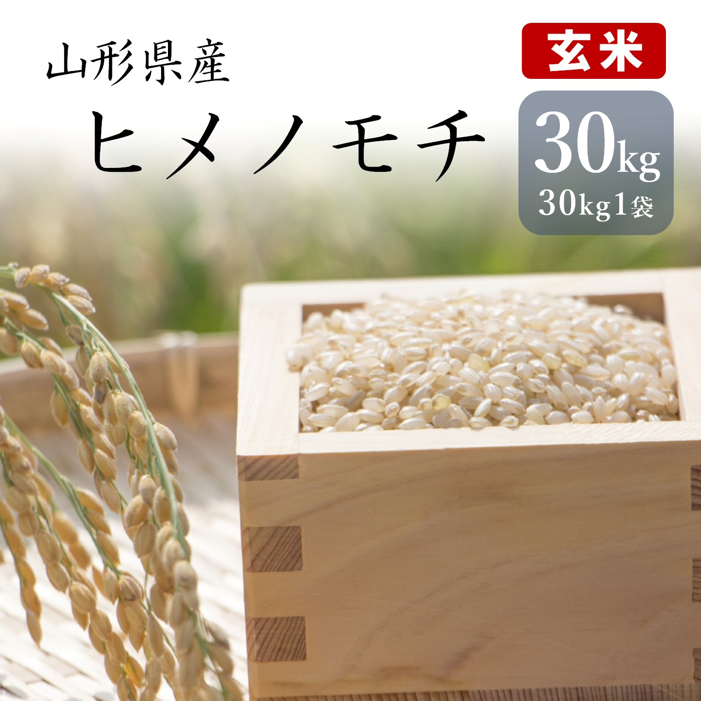 楽天市場】【もち米玄米】北海道産 はくちょうもち もち米 玄米