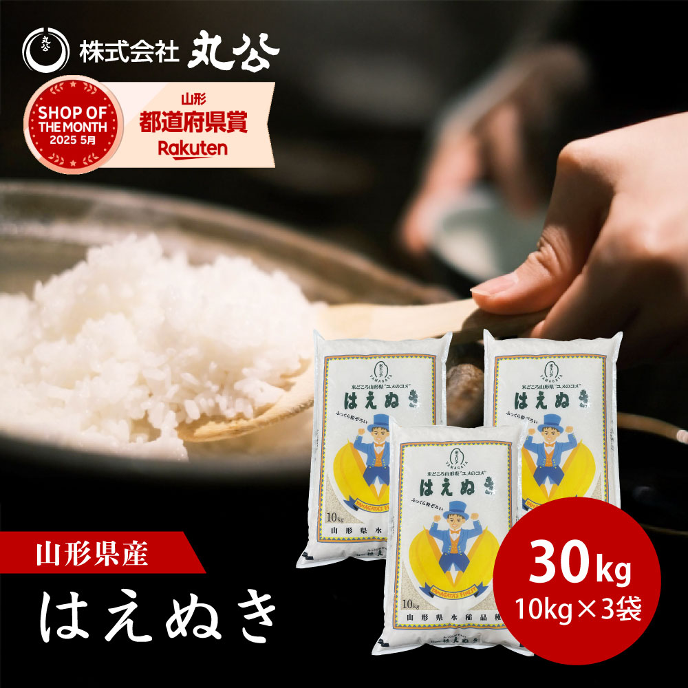 楽天市場】新米 令和7年産 はえぬき 10kg 5kg×2袋 お米 白米 山形県産