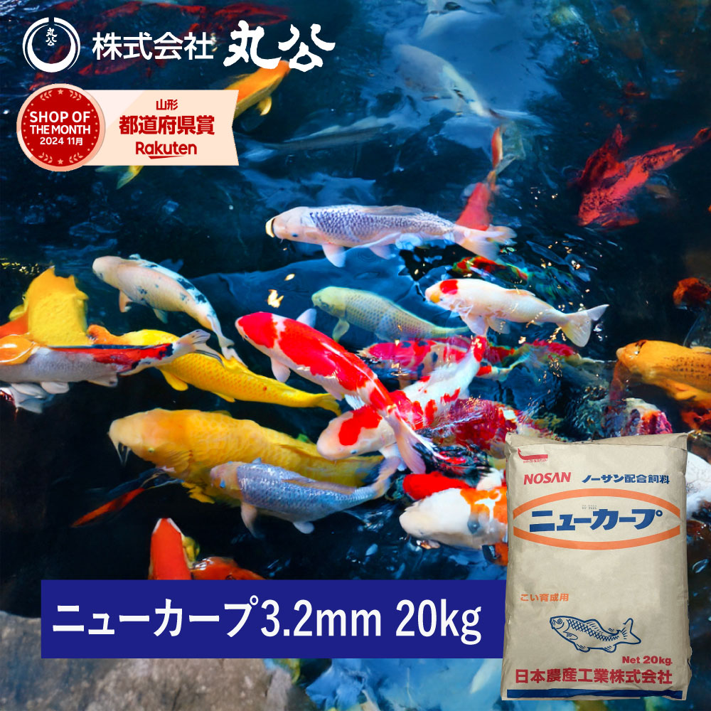 鯉　(シェル) 縁起物　値下げしました！ 旅雛 桃と彩雲 : ここかしこ 通販 || 縁起物 神仏具 雲棚の販売