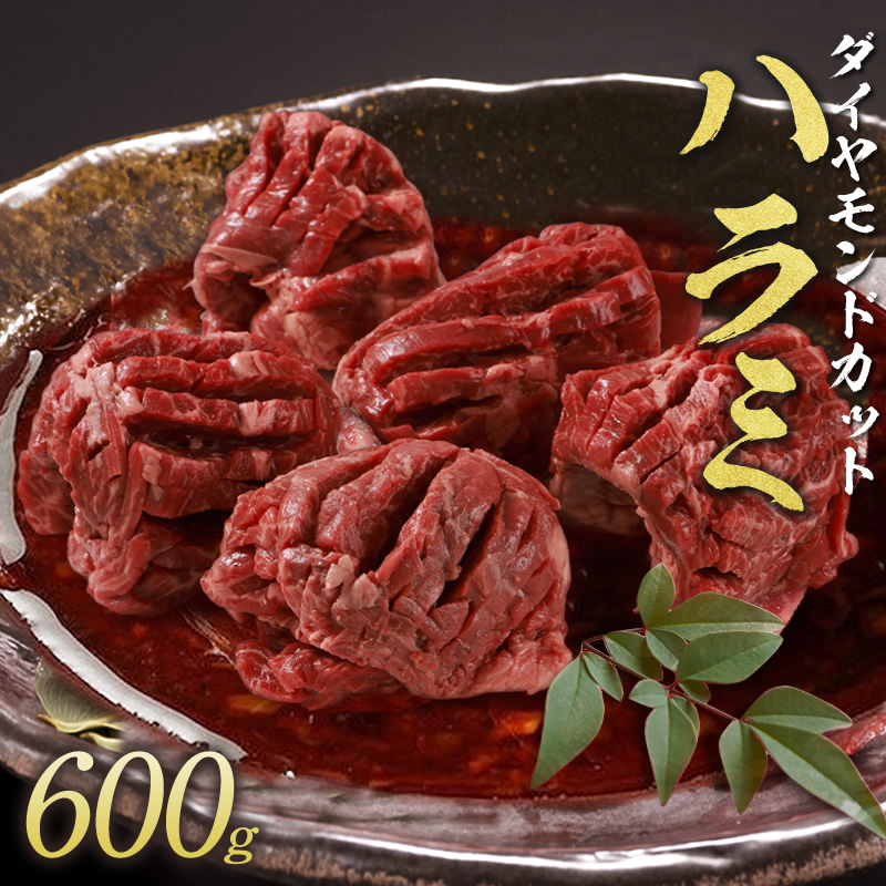 市場 送料無料 ダイヤモンドcutハラミ 牛肉 秘伝のタレ漬け 焼肉 焼き肉 600g 120g×5パック ハラミ バーベキュー BBQ 極旨 大容量