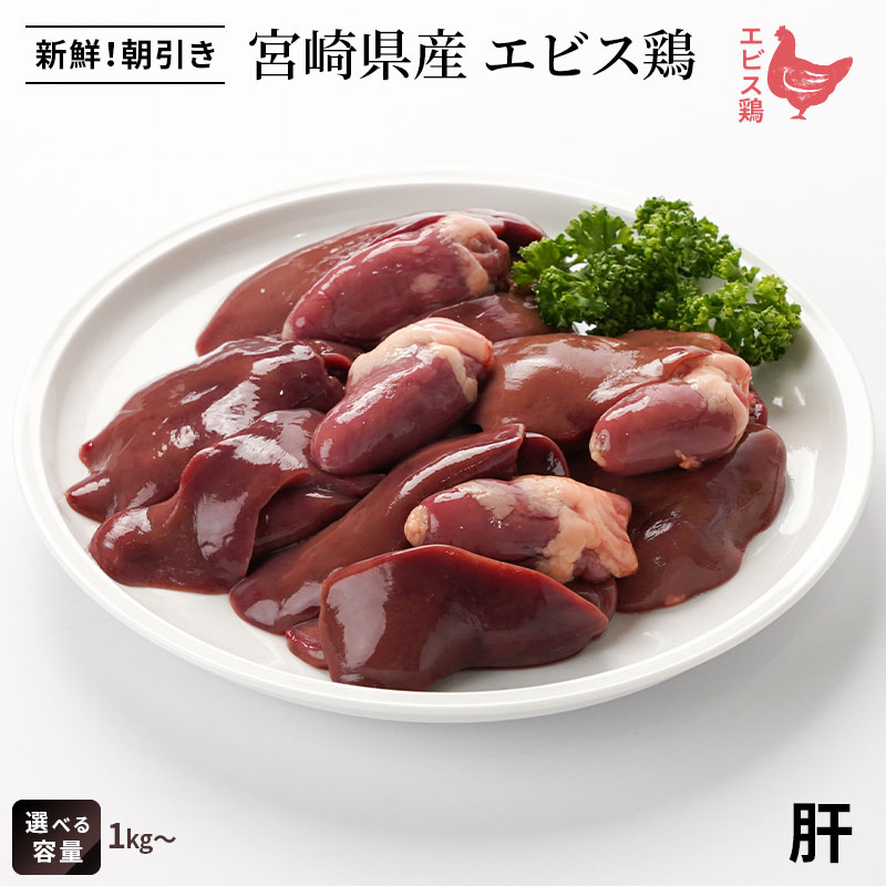 宮崎県産 エビス鶏 肝[レバー]（1kg～） ■ 生鮮品・朝引き ■鶏レバー 鶏肉 業務用 お取り寄せグルメ｜エビス通販