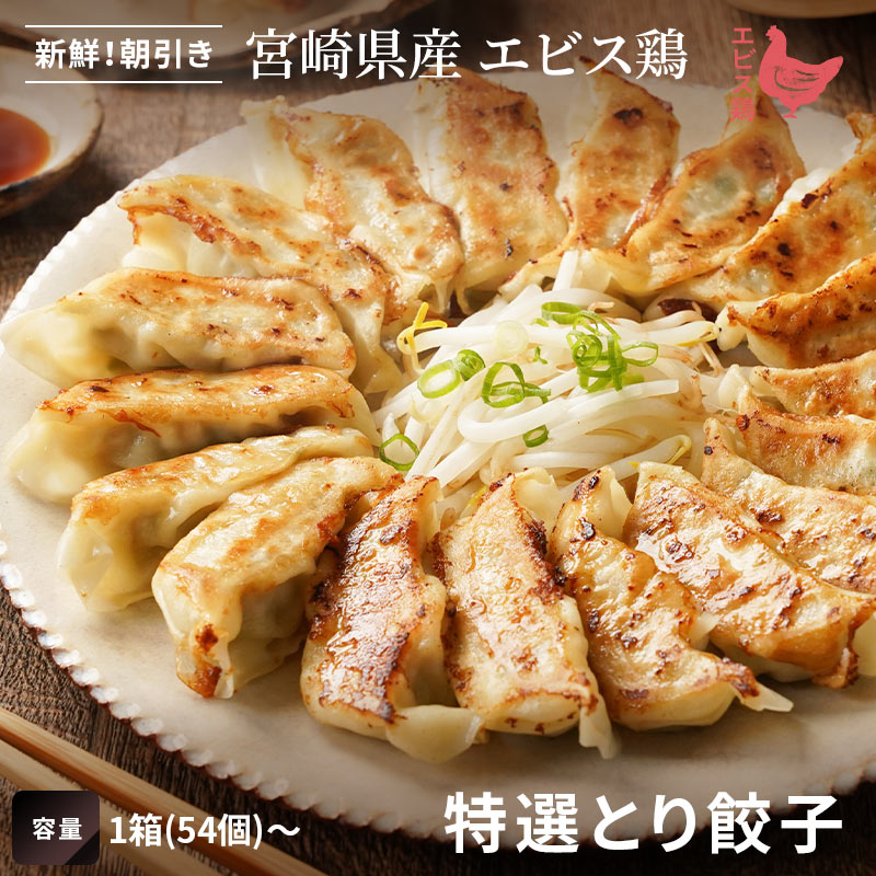 【国産鶏肉100％】宮崎エビス鶏 とり餃子[1箱(54個)～]■冷凍品■ 国内製造 鶏餃子 ヘルシー お取り寄せ 贈り物 お歳暮 ギフト｜エビス通販