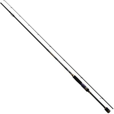 ARES Lester 夢墨 boron 野口 アレス LESTER 夢墨 Boron 800 L 届きました | イカ釣り ヒムカ