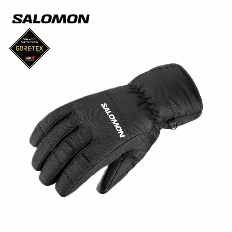 楽天市場】24-25 ASHRAM PROFILE LOGO MITT スノーボード ミトン