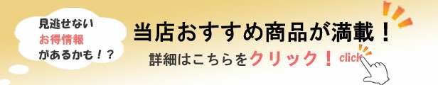 楽天市場】 クロスカントリースキー用品 > ローラースキー : エビスヤ