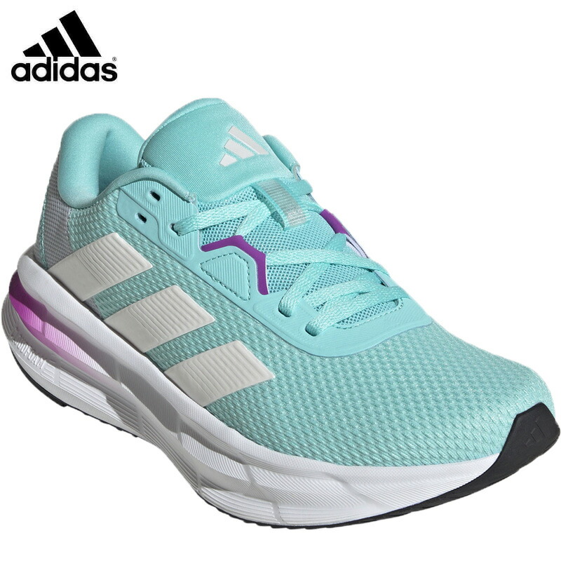 ダルクスポーツ シューズ DC SHOES/ディーシー メンズ スケートボード シューズ DC ASCEND