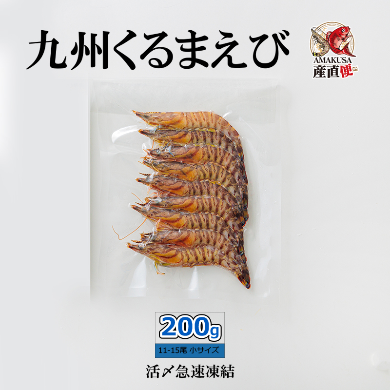 楽天市場】＼2022年12月1日出荷スタート／ 丸仙水産 活き車海老300g（10〜15匹）車海老を活きたまま出荷 国産 ギフト お取り寄せ 高級  お取り寄せグルメ おせち おせち料理 お節 おせち 2023 おせちランキング : AMAKUSA産直便