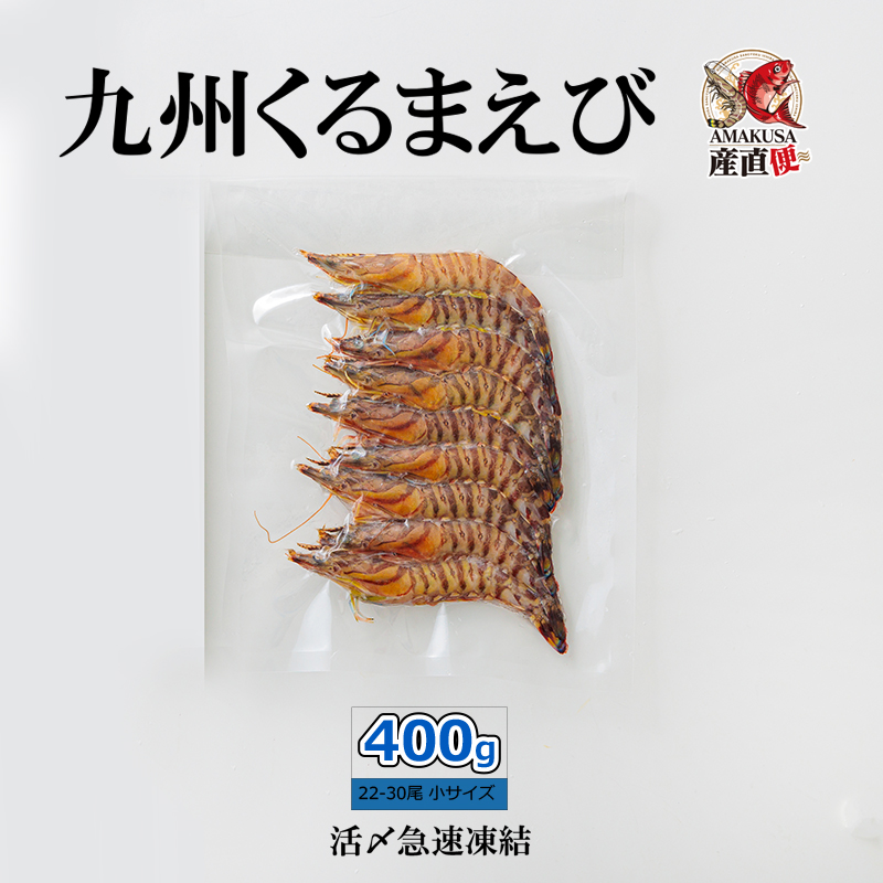 【楽天市場】テンヤ 芝えび3PC （150g×3）1pc約24尾入 釣り餌 