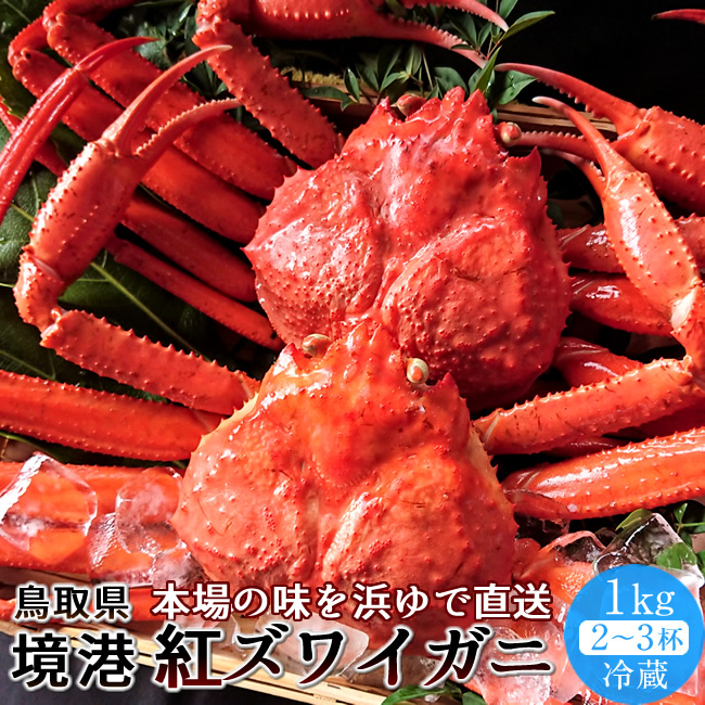 かに 境港 紅ズワイガニ 姿1kg［2-3杯］新物漁解禁 冷蔵 浜ゆで ゆでがに チルド ベニズワイガニ 日本海 鳥取県産 産地直送［新春海鮮ギフト］