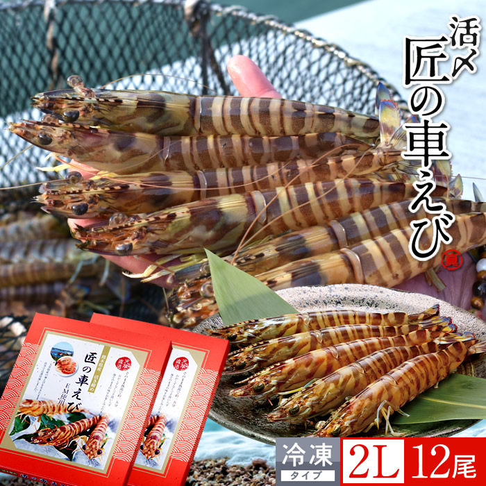 車海老 天草［活〆冷凍］特大 2L 12尾［6尾入250g×2P］車エビ 刺身 焼き フライ 熊本県 養殖 クルマエビ 島育ち 匠の車えび 直売所 旬 食べ方 塩焼き［産直食品ギフト］