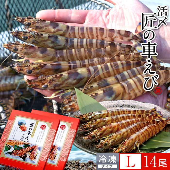 車海老 天草［活〆冷凍］大L 14尾［7尾入250g×2P］車エビ 刺身 焼き フライ 熊本県 養殖 クルマエビ 島育ち 匠の車えび 直売所 旬 食べ方 塩焼き［産直食品ギフト］