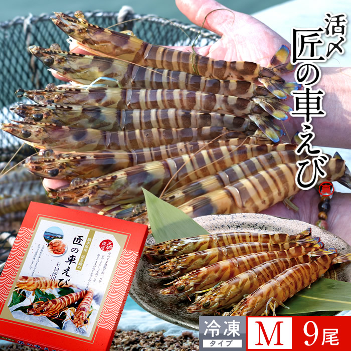 車海老 天草［活〆冷凍］M［9尾入250g×1P］車エビ 刺身 焼き フライ 熊本県 養殖 クルマエビ 島育ち 匠の車えび 直売所 旬 食べ方 塩焼き［産直食品ギフト］