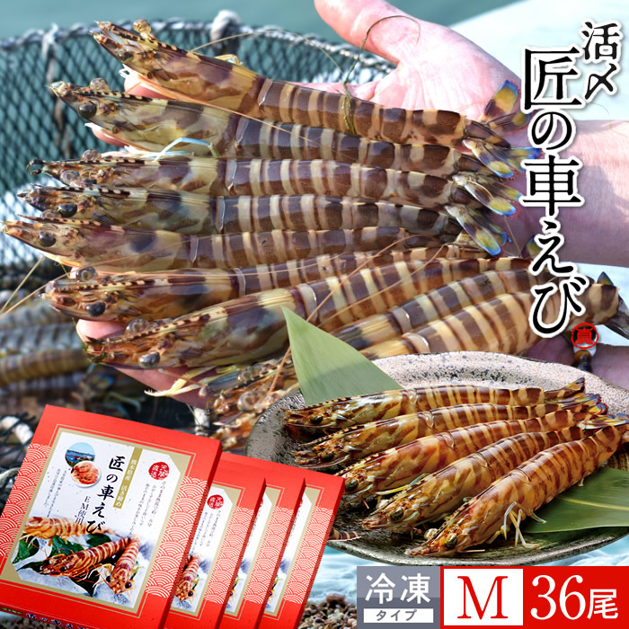 車海老 天草［活〆冷凍］M 36尾［9尾入250g×4P］車エビ 刺身 焼き フライ 熊本県 養殖 クルマエビ 島育ち 匠の車えび 直売所 旬 食べ方 塩焼き［産直食品ギフト］