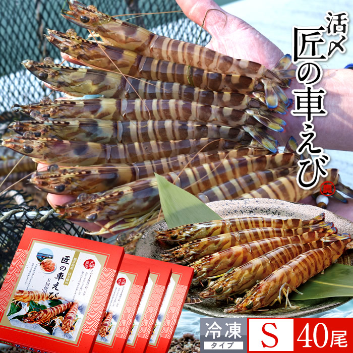 車海老 天草［活〆冷凍］S 40尾［10尾入250g×4P］車エビ 刺身 焼き フライ 熊本県 養殖 クルマエビ 島育ち 匠の車えび 直売所 旬 食べ方 塩焼き［産直食品ギフト］