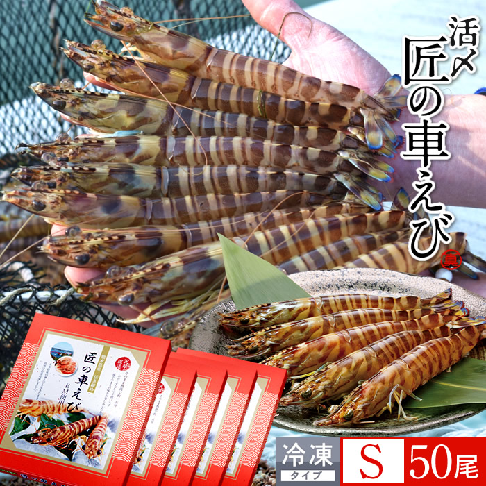 車海老 天草［活〆冷凍］S 50尾［10尾入250g×5P］車エビ 刺身 焼き フライ 熊本県 養殖 クルマエビ 島育ち 匠の車えび 直売所 旬 食べ方 塩焼き［産直食品ギフト］