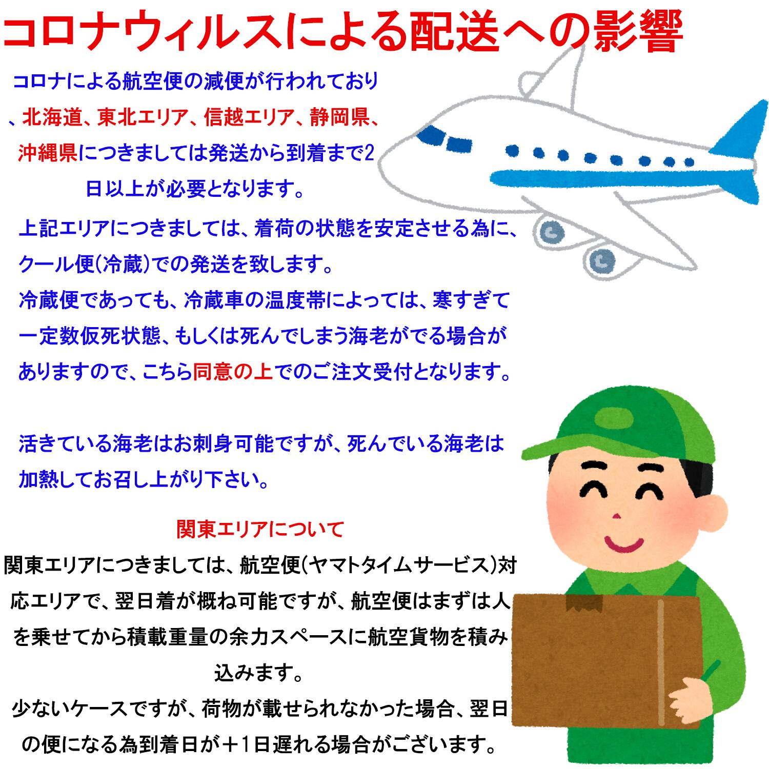 楽天市場 最短翌日発送 活き 車海老 750g 24 34尾 熊本県産 最高級a5ランク 生きたまま 翌日にお届け のし対応 産地直送 海鮮 ギフト 誕生日 御中元 御中元 お誕生日 しゃぶしゃぶ さしみ 生き 車エビ クルマエビ 送料無料 くるまえびや海老吉 楽天市場 最短翌日発送 活き 車海老 750g 24 34尾 熊本県産 最高級a5ランク 生きたまま 翌日にお届け のし対応 産地直送 海鮮 ギフト 誕生日 御中元 御中元 お誕生日 しゃぶしゃぶ さしみ 生き 車エビ クルマエビ 送料無料 くるまえびや海老吉