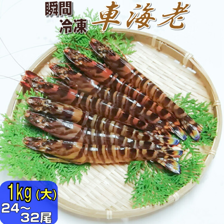 瞬間 冷凍 車海老 1kg (大)(24-32尾)【大サイズ厳選品】 熊本県産 送料無料 採れたて即時瞬間冷凍で鮮度抜群！ 御歳暮 お歳暮 贈り物 贈答 誕生日 プレゼント さしみ しゃぶしゃぶ エビフライ 御中元 敬老の日 急速冷凍