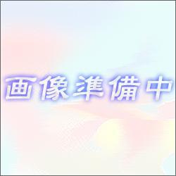 【対象ショップ限定 先着1000円OFFクーポン】エプソン EPSON PMSP36R8 光沢フィルム2ロール 914mm 36インチ x20m PMSP36R8
