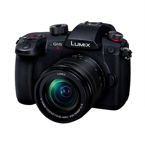 【長期5年保証付】パナソニック Panasonic LUMIX DC-GH5M2M 標準ズームレンズキット DCGH5M2M｜ＥＣカレント