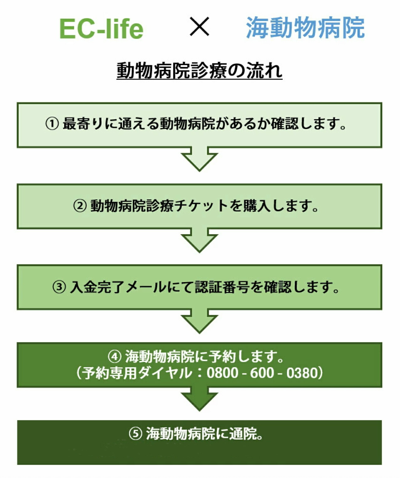 楽天市場 オンライン限定価格 犬用6種混合ワクチンチケット 診療チケット バンガードプラス 5 Cv ペット用 犬用 全国対応 提携先 海動物病院 送料無料 代引不可 Ec Life Ecライフ