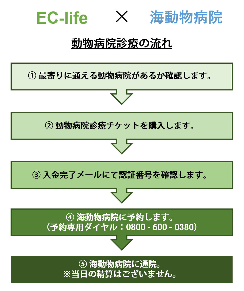 楽天市場 犬用6種混合ワクチンチケット 診療チケット バンガードプラス 5 Cv ペット用 犬用 全国対応 提携先 海動物病院 送料無料 代引不可 Ec Life Ecライフ