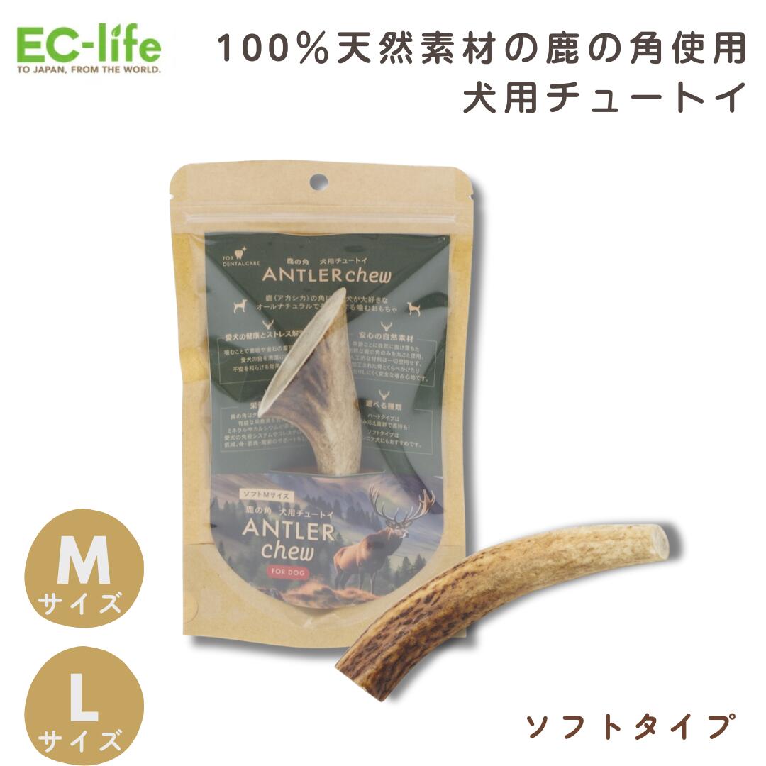 minoru鹿の角 minoru鹿の角 minoru鹿の角7本＋4本 9ffa6570c8d4f70079b903a0f56153