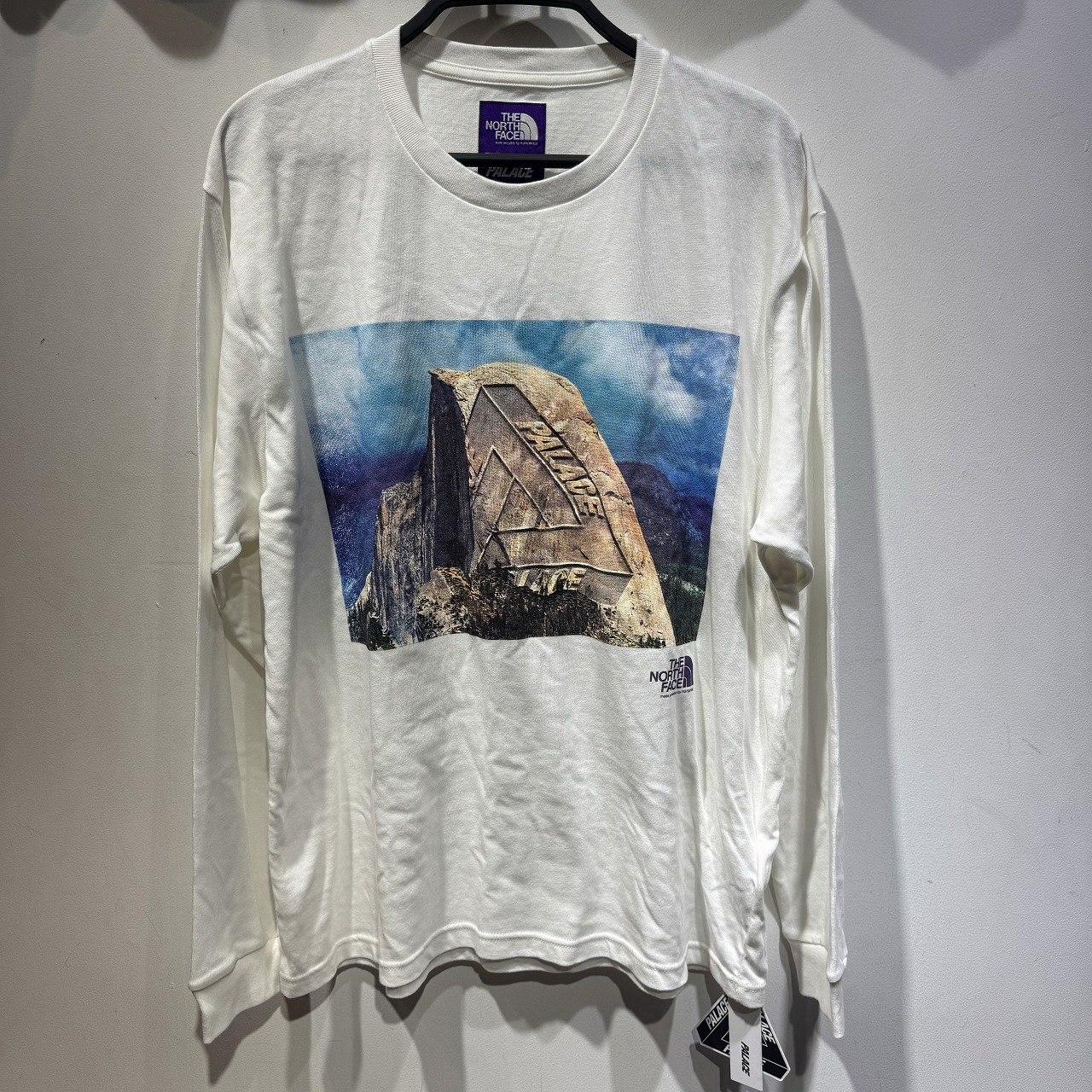 THE NORTH FACE PURPLE LABEL &times; PALACE 21ss L/S Graphic Tee "White" Lサイズ NT3127N ザ ノースフェイス パープルレーベル パレス 長袖 ロンT 心斎橋店【中古】｜union3 店