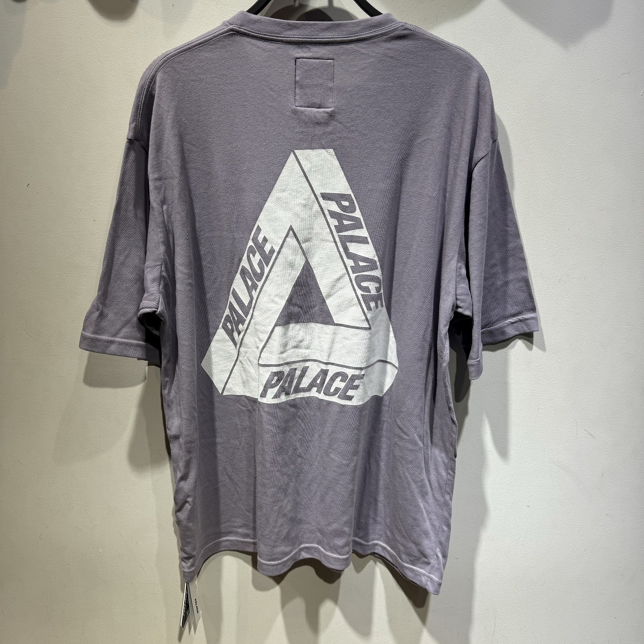 楽天市場】THE NORTH FACE PURPLE LABEL × PALACE 21ss L/S