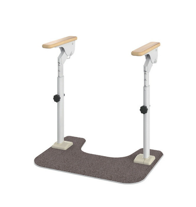 アロン化成 ATTOGRIP（アットグリップ） 室内用便器受け支える H-T / 870-088 両側はねあげ